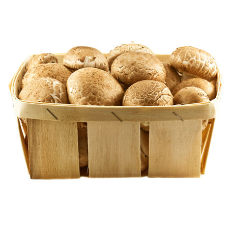 Kastanje-champignons