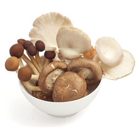 Mix-paddenstoelen