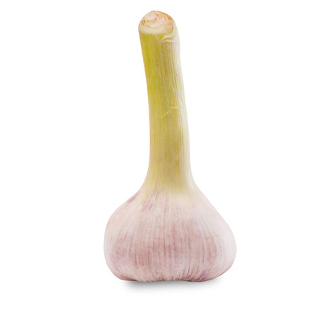 Verse knoflook