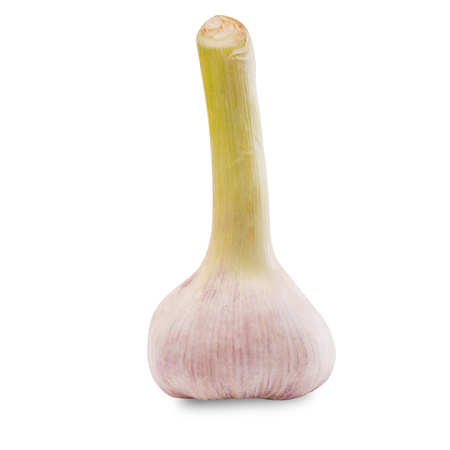 Verse knoflook