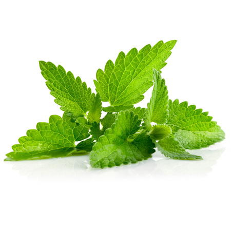 Mint