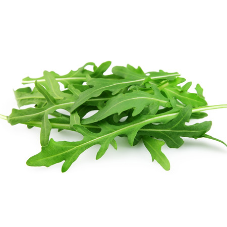 Rucola