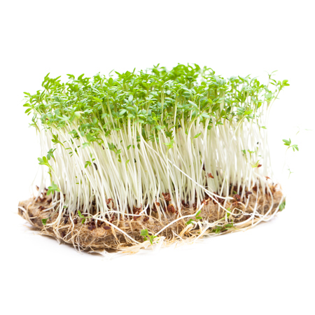 Tuinkers