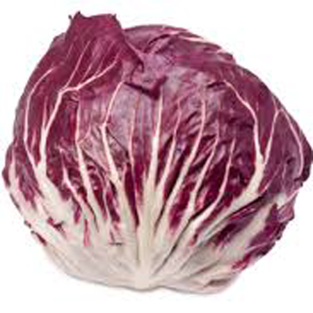 Radicchio